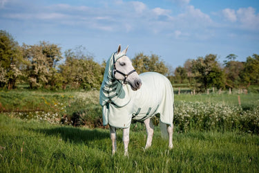 Buy Horseware Ireland Rambo Hoody XL Fly Rug (with free fly mask)| Online for Equine