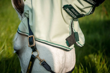 Buy Horseware Ireland Rambo Hoody XL Fly Rug (with free fly mask)| Online for Equine