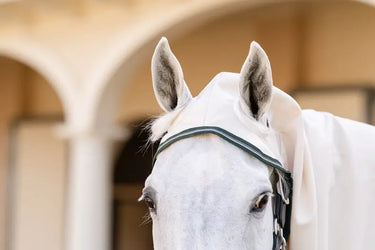 Horseware Ireland Rambo Hoody Xl| Online For Equine