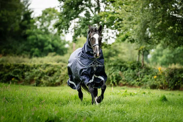 Horseware Ireland Rambo Optimo Plus Turnout Rug Bundle (0G + 200G)| Online For Equine