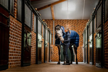 Horseware Ireland Rambo Optimo Stable Rug Plus 400G| Online For Equine