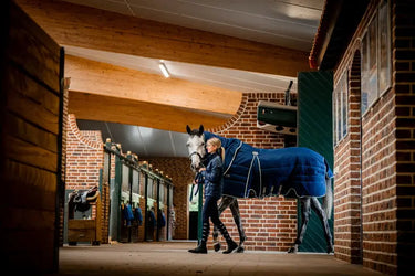 Horseware Ireland Rambo Optimo Stable Rug Plus 400G| Online For Equine