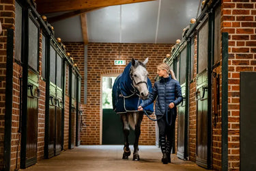 Horseware Ireland Rambo Optimo Stable Rug Plus 400G| Online For Equine