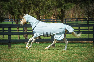 Horseware Ireland Rambo Pony Hoody Grey / Beige / Baby Blue & Navy| Online For Equine