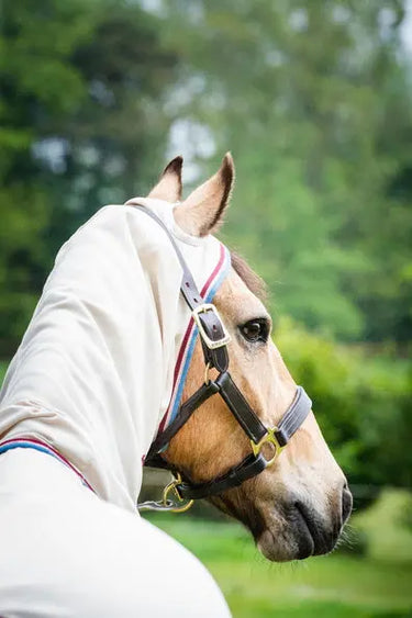 Horseware Ireland Rambo Pony Hoody Sand / Cherry / Peach & Blue| Online For Equine