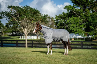 Horseware Ireland Rambo Protector Fieldsafe Plus Rug| Online For Equine