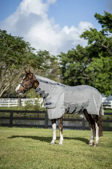 Horseware Ireland Rambo Protector Fieldsafe Plus Rug| Online For Equine
