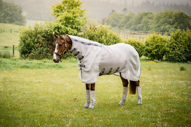 Buy Horseware Ireland Rambo Protector Fly Rug| Online for Equine