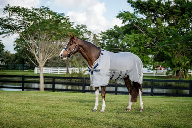 Horseware Ireland Rambo Protector| Online For Equine