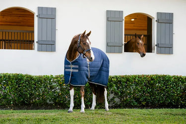 Horseware Ireland Rambo Stable Rug 100G Navy / Thunderstorm Grey & Silver| Online For Equine