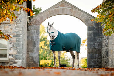 Horseware Ireland Rambo Techni Waffle Cooler Dynasty Green / Navy & Silver| Online For Equine