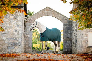 Horseware Ireland Rambo Techni Waffle Cooler Dynasty Green / Navy & Silver| Online For Equine