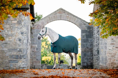 Horseware Ireland Rambo Techni Waffle Cooler Dynasty Green / Navy & Silver| Online For Equine
