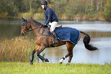Horseware Ireland Rambo Waterproof Fleece Exercise Sheet| Online For Equine