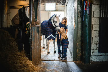 Horseware Ireland Rhino Plus Pony Turnout Rug 250G Vl| Online For Equine