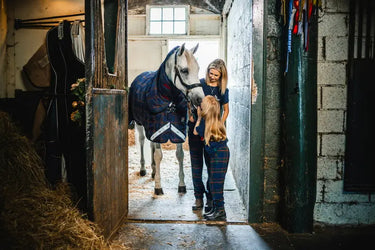 Horseware Ireland Rhino Plus Pony Turnout Rug 250G Vl| Online For Equine