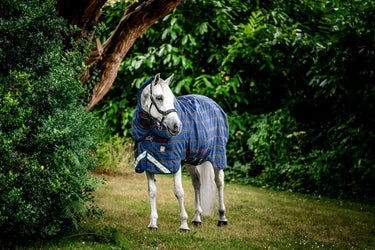Horseware Ireland Rhino Plus Pony Turnout Rug 250G Vl| Online For Equine