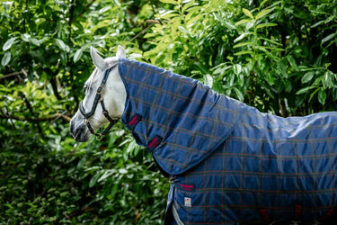 Horseware Ireland Rhino Plus Pony Turnout Rug 250G Vl| Online For Equine