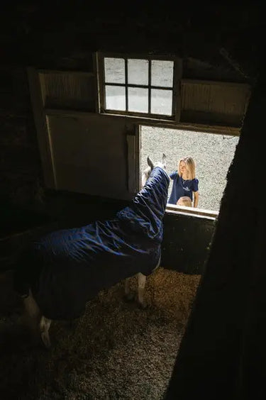 Horseware Ireland Rhino Plus Pony Turnout Rug 250G Vl| Online For Equine