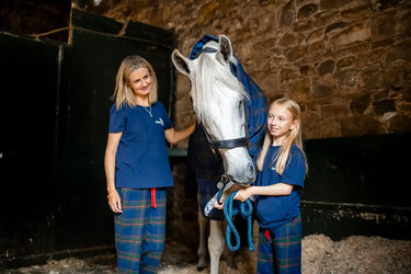 Horseware Ireland Rhino Plus Pony Turnout Rug 250G Vl| Online For Equine