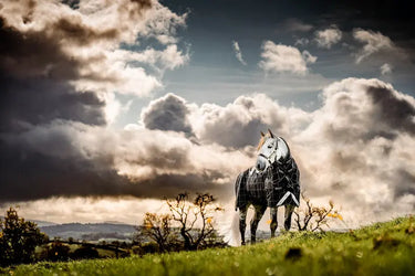 Horseware Ireland Rhino Plus Pony Turnout Rug Bundle (0G + 200G)| Online For Equine