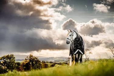 Horseware Ireland Rhino Plus Pony Turnout Rug Bundle (0G + 200G)| Online For Equine