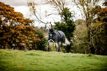 Horseware Ireland Rhino Plus Pony Turnout Rug Bundle (0G + 200G)| Online For Equine
