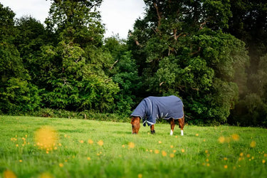 Horseware Ireland Rhino Plus Turnout Rug 250G Vl Navy / Titanium Grey & Classic Blue| Online For Equine