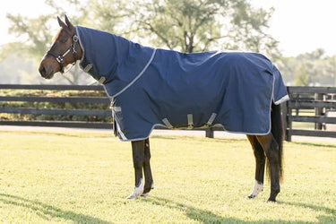Horseware Ireland Rhino Plus Turnout Rug 250G Vl Navy / Titanium Grey & Classic Blue| Online For Equine