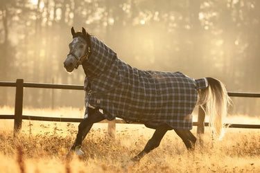 Horseware Ireland Rhino Plus Turnout Rug 450G Vl Navy Check / Indigo| Online For Equine
