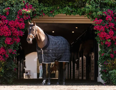 Horseware Ireland Rhino Pony Stable Rug 100G| Online For Equine