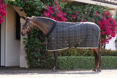 Horseware Ireland Rhino Pony Stable Rug 100G| Online For Equine