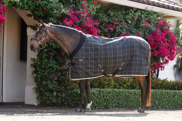 Horseware Ireland Rhino Pony Stable Rug 250G Vl| Online For Equine