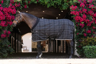 Horseware Ireland Rhino Pony Stable Rug 250G Vl| Online For Equine