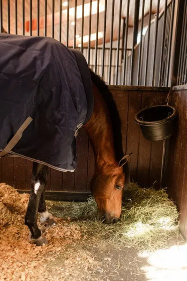 Horseware Ireland Rhino Stable Rug 100G Navy / Titanium Grey & Classic Blue| Online For Equine