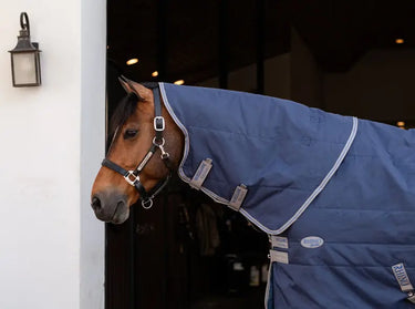 Horseware Ireland Rhino Stable Rug Hood 100G Navy / Titanium Grey & Classic Blue| Online For Equine