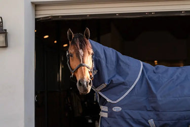 Horseware Ireland Rhino Stable Rug Hood 100G Navy / Titanium Grey & Classic Blue| Online For Equine