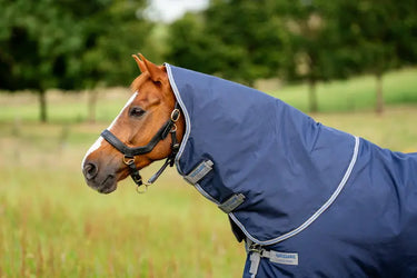 Horseware Ireland Rhino Turnout Rug Hood 150G| Online For Equine