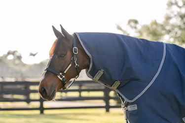Horseware Ireland Rhino Turnout Rug Hood 150G| Online For Equine