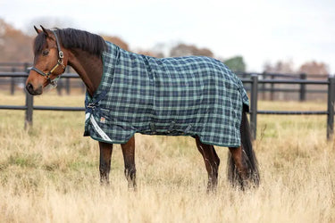 Horseware Ireland Rhino Wug Turnout Rug 250G Vl Hunter Check / Green & Navy| Online For Equine