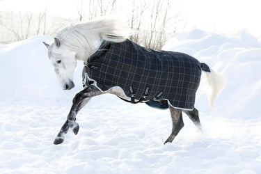 Horseware Ireland Rhino Wug Turnout Rug 450G Vl Blk / Grey / White Chk & Gray| Online For Equine