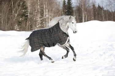 Horseware Ireland Rhino Wug Turnout Rug 450G Vl Blk / Grey / White Chk & Gray| Online For Equine