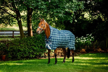 Horseware Ireland Rhino Wug Turnout Rug 450G Vl Hunter Check / Navy & Green| Online For Equine