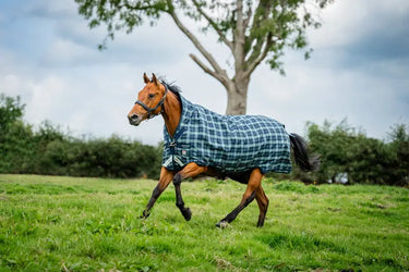 Horseware Ireland Rhino Wug Turnout Rug 450G Vl Hunter Check / Navy & Green| Online For Equine