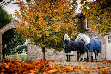 Horseware Ireland Show Ready Rug| Online For Equine