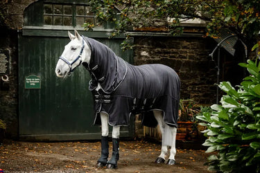 Horseware Ireland Show Ready Rug| Online For Equine