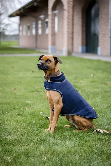 Horseware Ireland Signature Dog Rain Coat 100G| Online For Equine