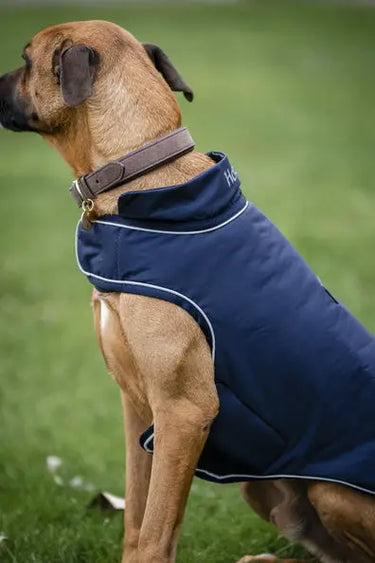Horseware Ireland Signature Dog Rain Coat 100G| Online For Equine
