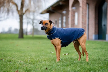 Horseware Ireland Signature Dog Rain Coat 100G| Online For Equine