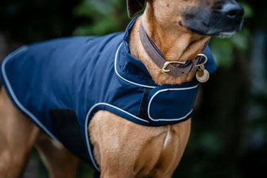 Horseware Ireland Signature Dog Rain Coat 100G| Online For Equine